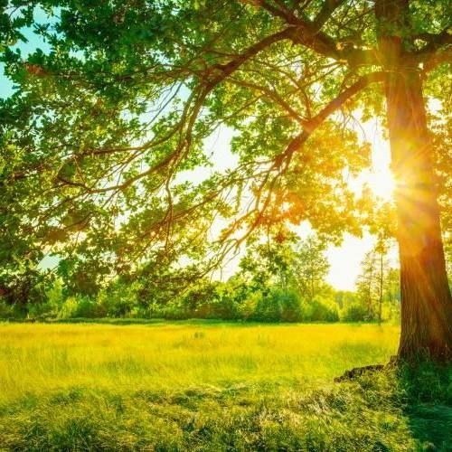 آهنگ جدید  بیا از نو بساز منو بیا خنده کن اخممو